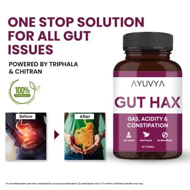 Shilajit Energy Mix
