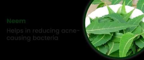 Neem
