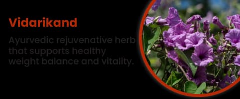 Vidarikand
