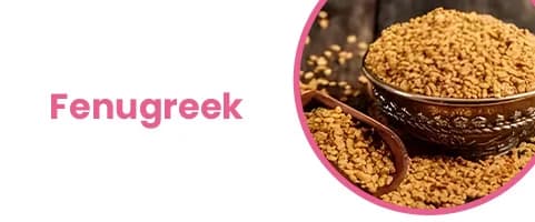 Fenugreek