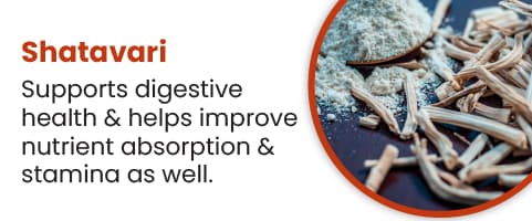 Shatavari