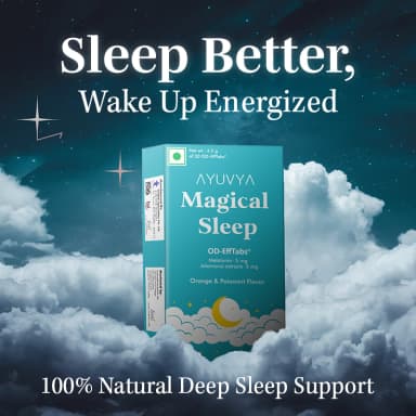 Shilajit Energy Mix