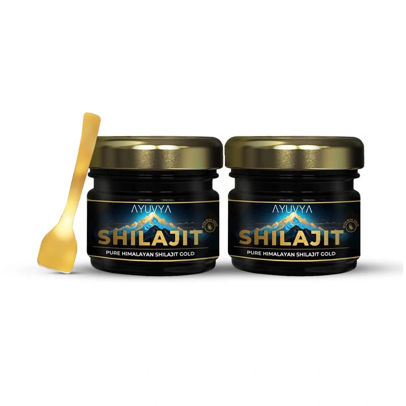 Ayuvya Shilajit Combo