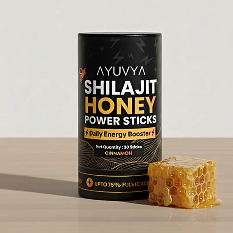 Ayuvya Shilajit Honey Sticks (Cinnamon)